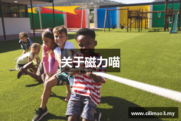 关于磁力喵